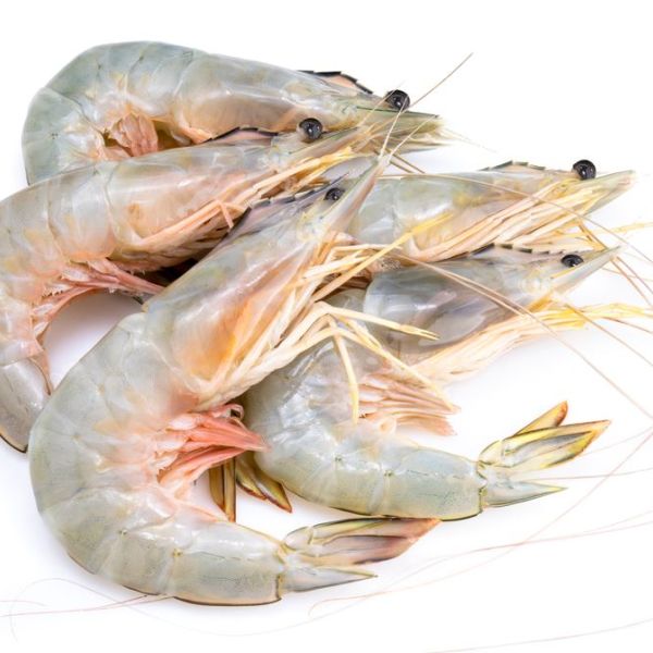 Gambas medianas 20-30 x 500 gramos