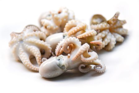 Pulpo Baby crudo x 500 grs