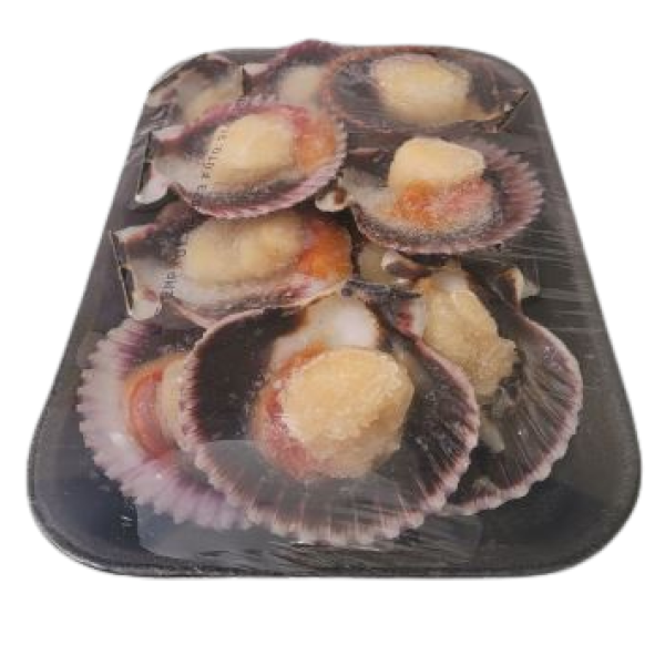 Scallops con coral – libra