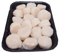 Scallops 10-20 x 500g