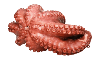 Pulpo Mexicano x 600 grs