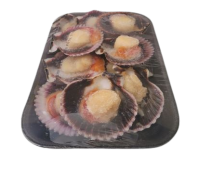 Scallops grandes con coral
