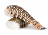 Cola de langosta (4 unid de 125 g)