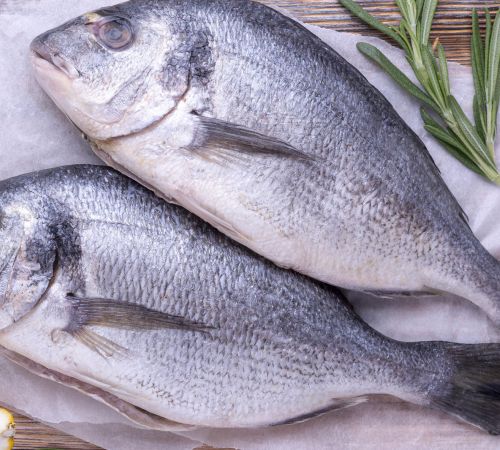 Cómo escoger un buen producto del mar