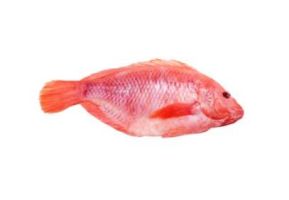 Mojarra roja sin escama de 500 grs