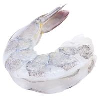 Langostino limpio U-10 x 500 grs (10 unid por libra)