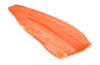 Filete de salm&oacute;n fresco x 3 libras