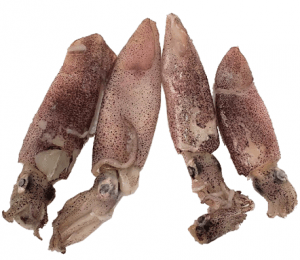 Calamar morado grande – 500 grs