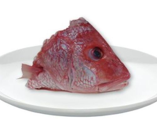 Cabezas Picadas Para Fondos
