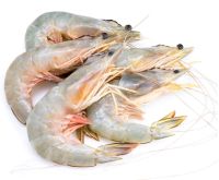 Gambas medianas 20-30 x 500 gramos