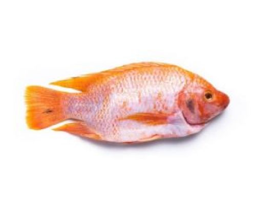 Mojarra roja sin escama de 350 grs