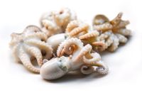 Pulpo Baby crudo x 500 grs