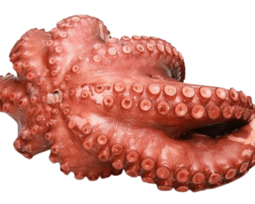 Pulpo Mexicano x 600 grs