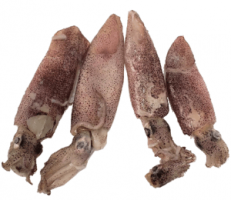 Calamar morado grande – 500 grs