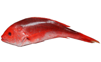 Pargo entero 350/400g