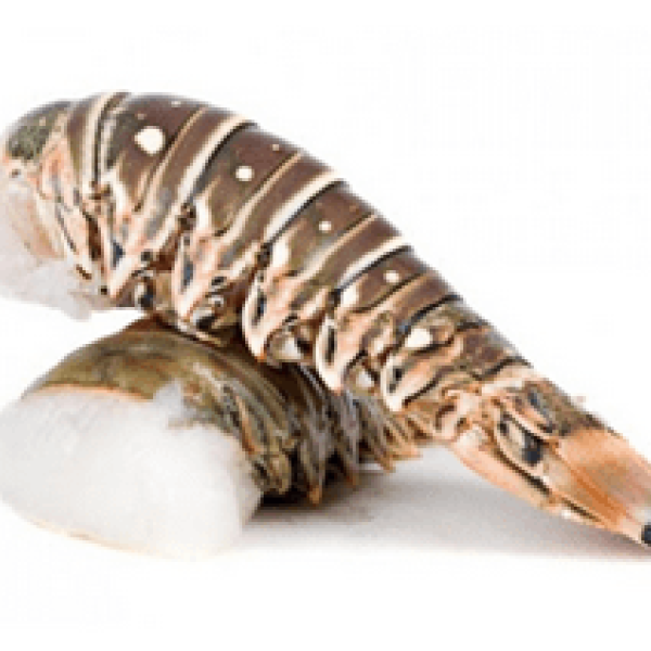 Cola de langosta (4 unid de 125 g)