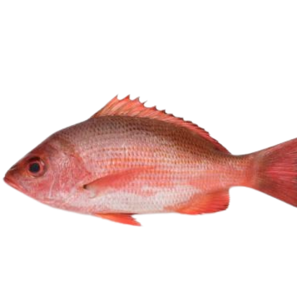 Pargo entero 400/450g