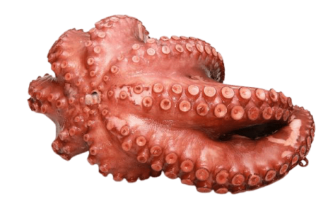 Pulpo Mexicano x 600 grs