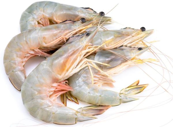 Gambas Medianas 20-30 X 500 Gramos