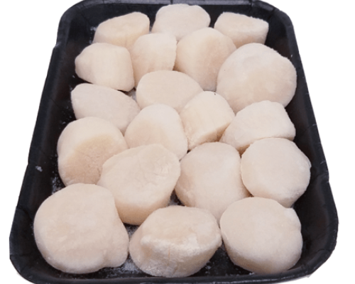 Scallops 10-20 x 500g