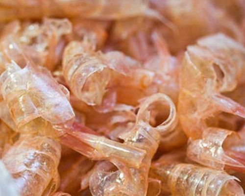 Cáscara de langostino para fondos