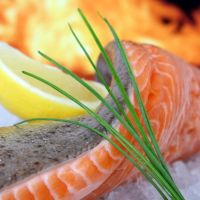 El pescado más rico en sabor es aquel que está acabadito de salir del agua